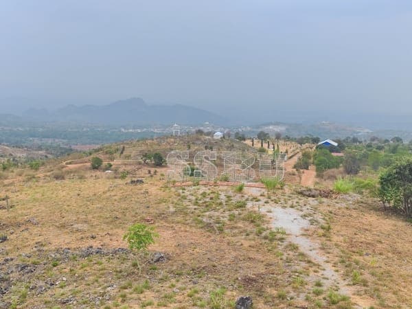 SSBU sign on the mountain