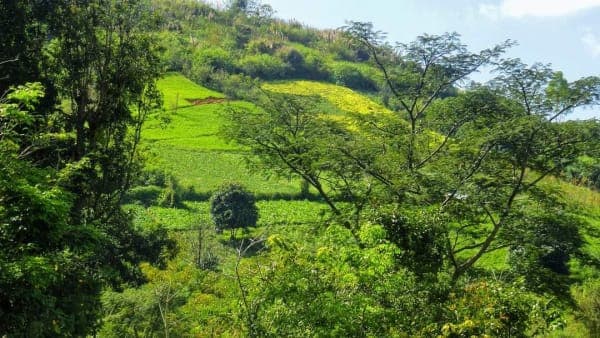 The Greenfield On the Mountain