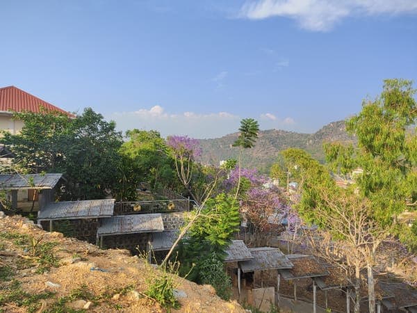 View beside Lwan Zayti